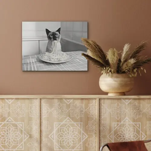 Kat - Siamees - Zwart Wit - Schattig - Dieren PET vilt klein -sfeer4