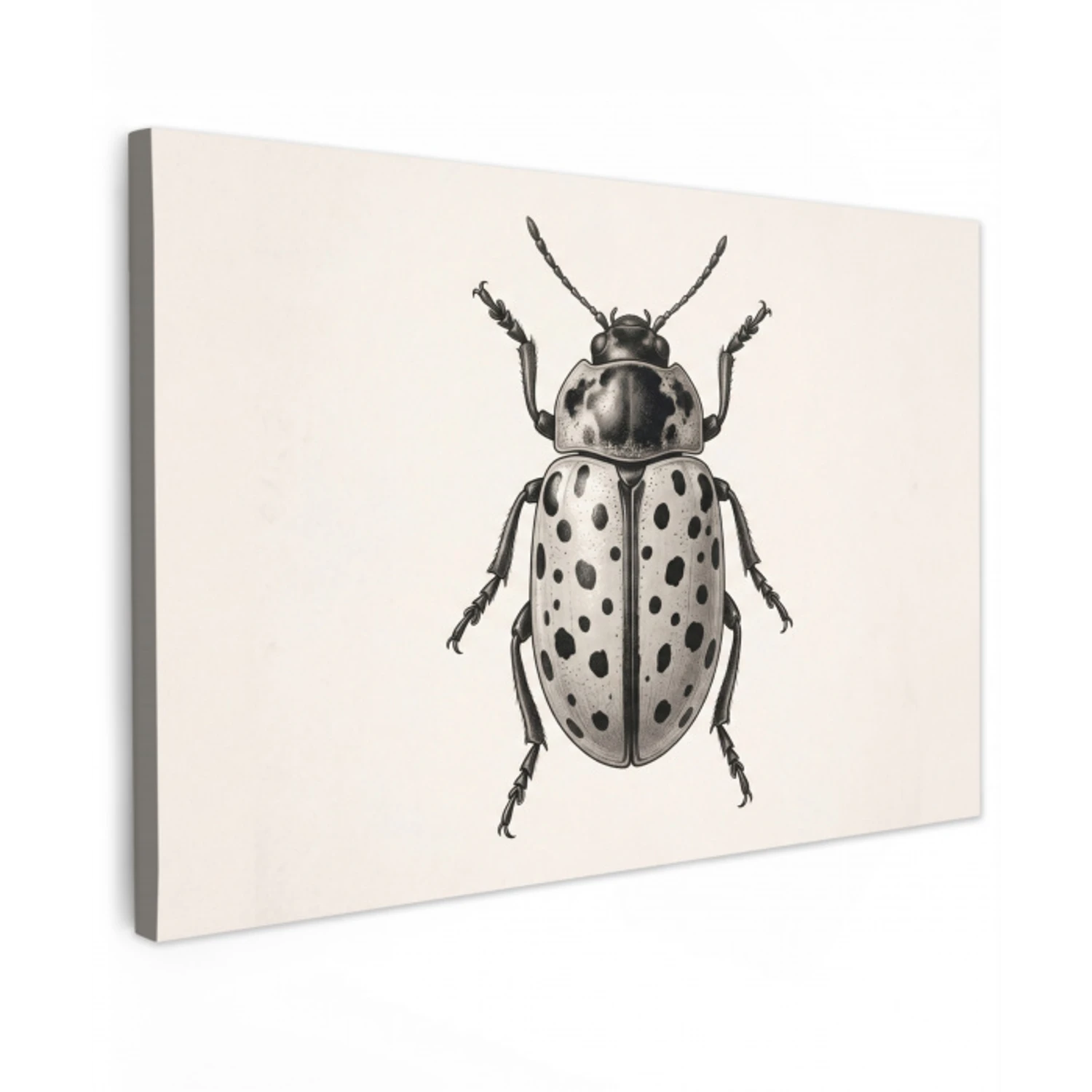 Kever - Insect - Vintage canvas 2cm klein -z3d