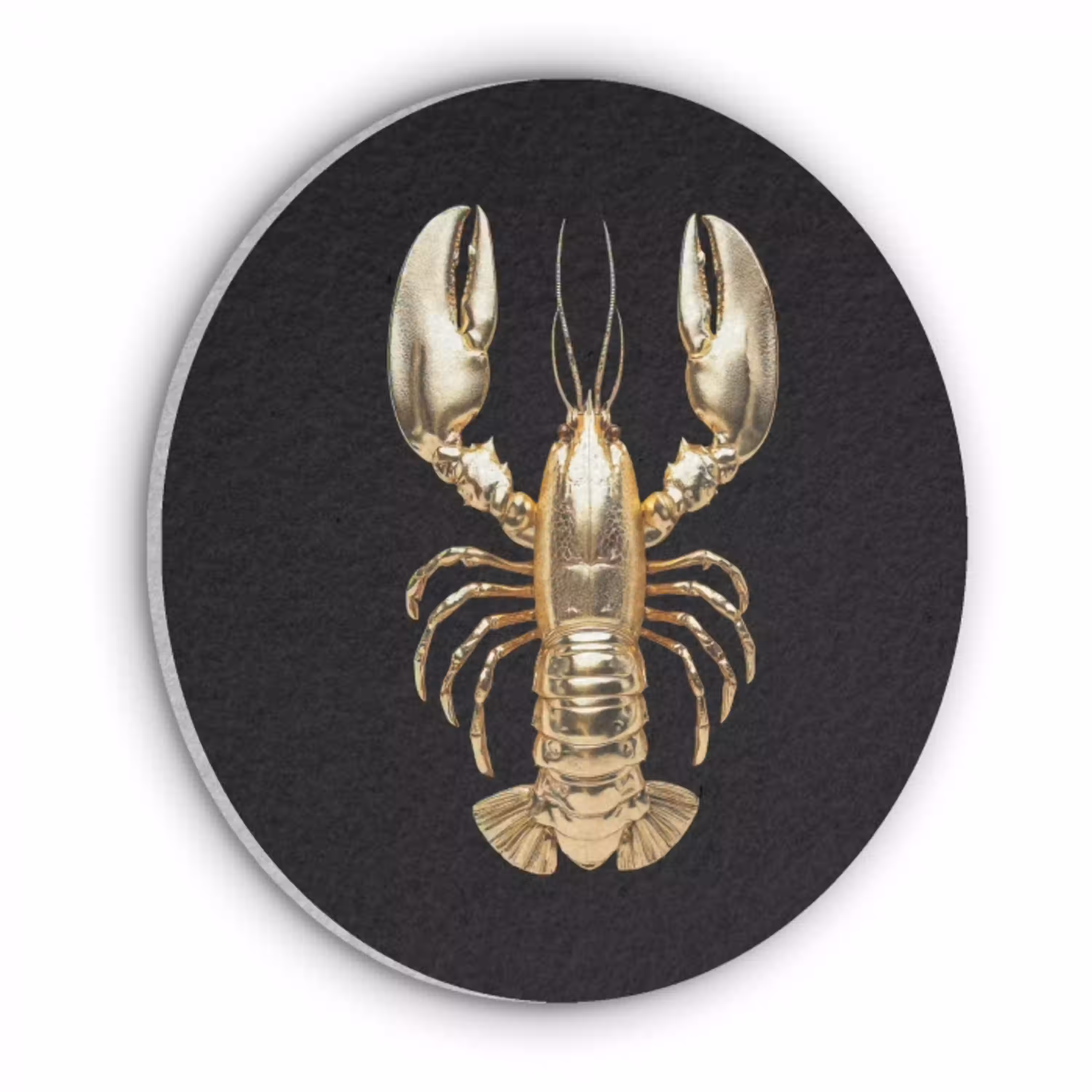 Kreeft - Goud - Textuur - Zwart Akoestische PET Vilt - Rond klein -3d