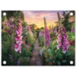 Vingerhoedskruid - Bloemen - Tuin tuinposter los doek klein -3d