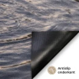 Eenden - Water - Natuur Deurmat klein -antislip_NL