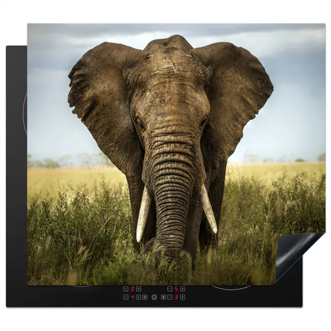 Gigant van de Savanne Inductie beschermer vinyl 3mm middel -3d