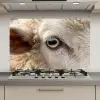 Schaap - Oog - Wit keuken achterwand spatscherm klein -3d_website