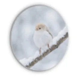 Vogeltje - Sneeuw - Tak - Winter - Zacht Akoestische PET Vilt - Rond klein -3d