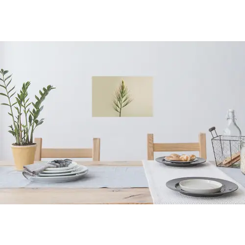 Dennentak - Naaldvormige bladeren - Lichtgroen Muursticker klein -eettafel