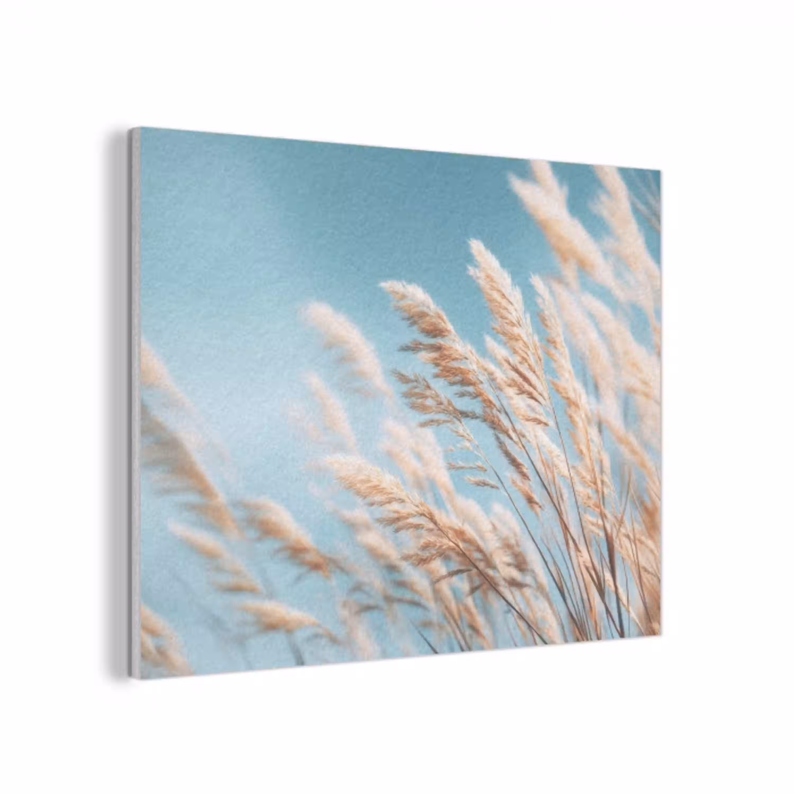 Siergras - Wind - Lichtbruin PET vilt klein -3d