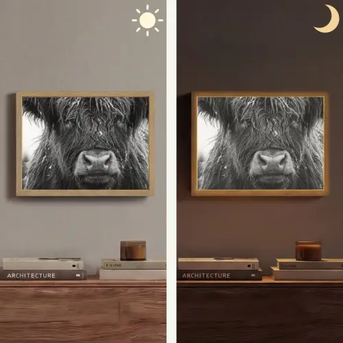 Schotse hooglander - Zwart - Wit - Sneeuwvlokken Light Box met batterij (Wandlamp) middel -sfeer3