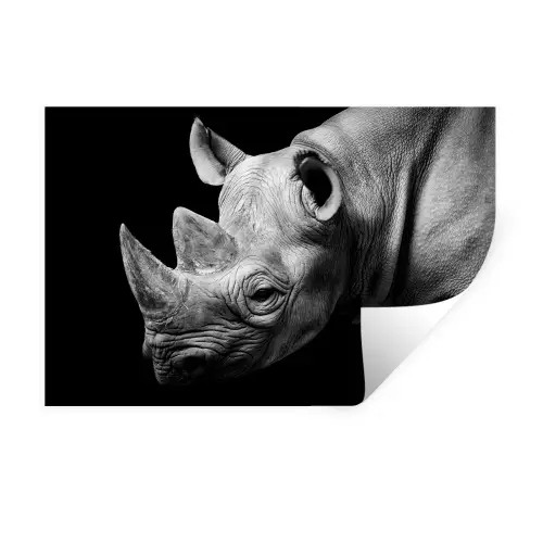 Dieren - Neushoorn - Zwart - Wit - Portret Muursticker klein -3d