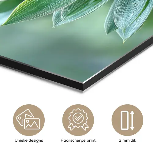 Blad - Plant - Groen - Textuur aluminium wit klein -closeup_NL