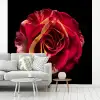 Bloem - Roos - Rood - Zwart fotobehang vinyl groot -woonkamer