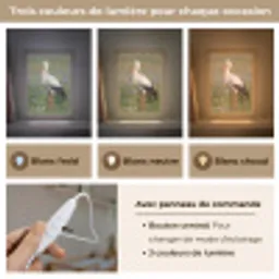 Ooienvaar - Bloemen - Weide - Kleurrijk Light Box met kabel (Kinderlampje) klein -USP_lichtkleurFR