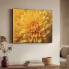 Geel - Chrysant - Zachtheid Textielframe zwart klein -sfeer3