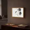 Lotusbloemen - Vissen - Bladeren - Zwart Light Box met batterij (Wandlamp) middel -sfeer1