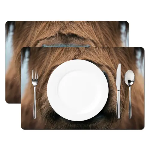 Schotse hooglander - Neus - Bruin Placemat vinyl groot -zzsfeer2_Kitchenyeah-website