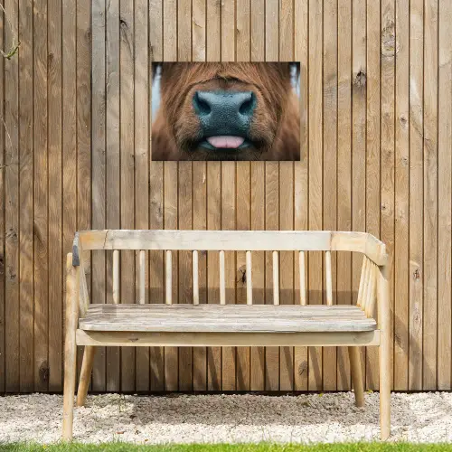 Schotse hooglander - Neus - Bruin Tuinposter op houten frame 2 cm dik klein -sfeer4