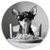 Chihuahua - Hond - Zonnebril - Humoristisch - Zwart - Wit - Spaghetti KitchenYeah - Keuken - Wandcirkel Forex klein -3d
