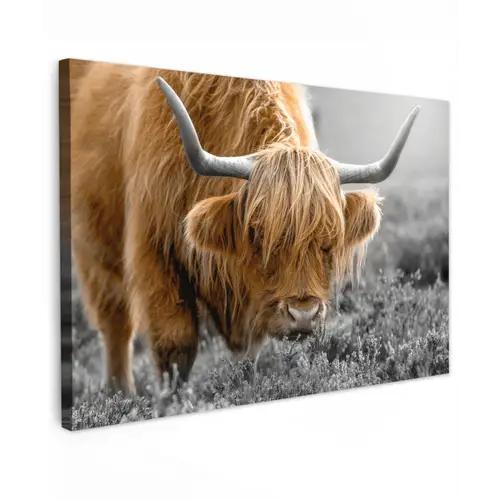 Schotse Hooglander - Dieren - Bruin - Koe - Zwart - Wit - Natuur Tuinposter op houten frame 2 cm dik klein -3d
