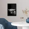 Schotse Hooglander - Koe - Zwart - Wit - Dieren fotolijst zwart zonder passe partout klein -sfeer4