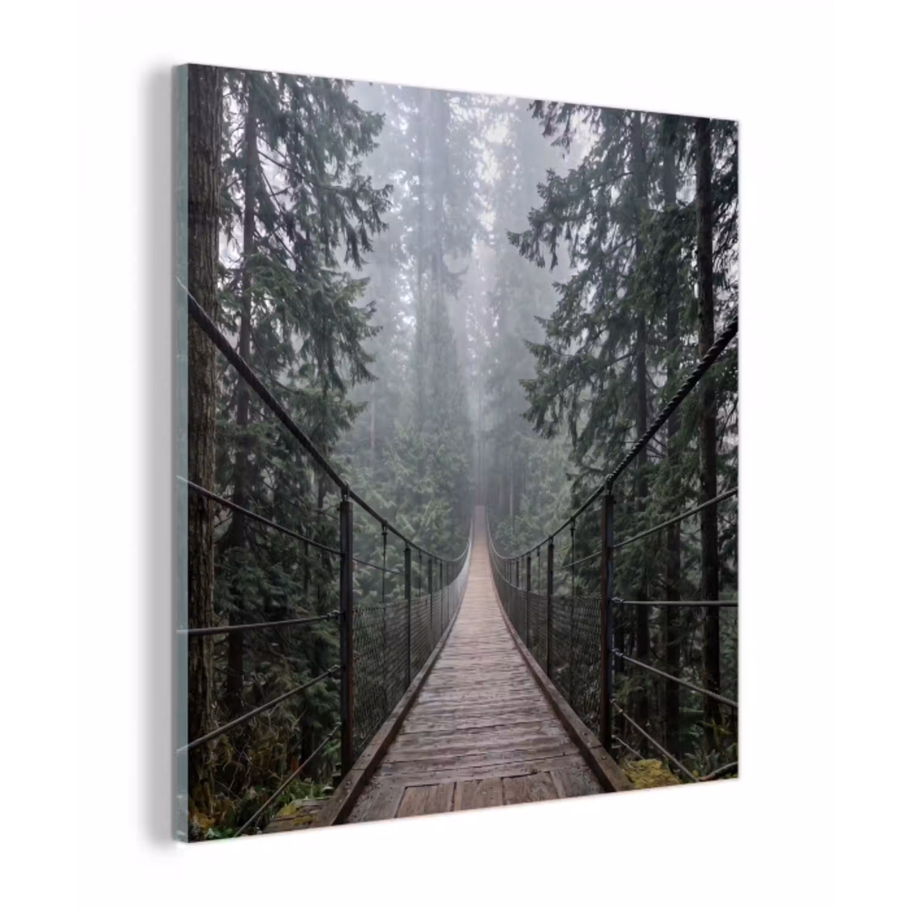 Brug - Bos - Mist - Natuur plexiglas 5mm klein -z3d