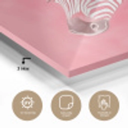 Zebra - Pink - Verf plexiglas 5mm klein -sfeer2