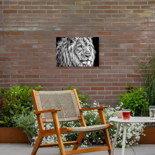 Portret - Leeuw - Zwart wit Tuinposter op houten frame 2 cm dik klein -sfeer3