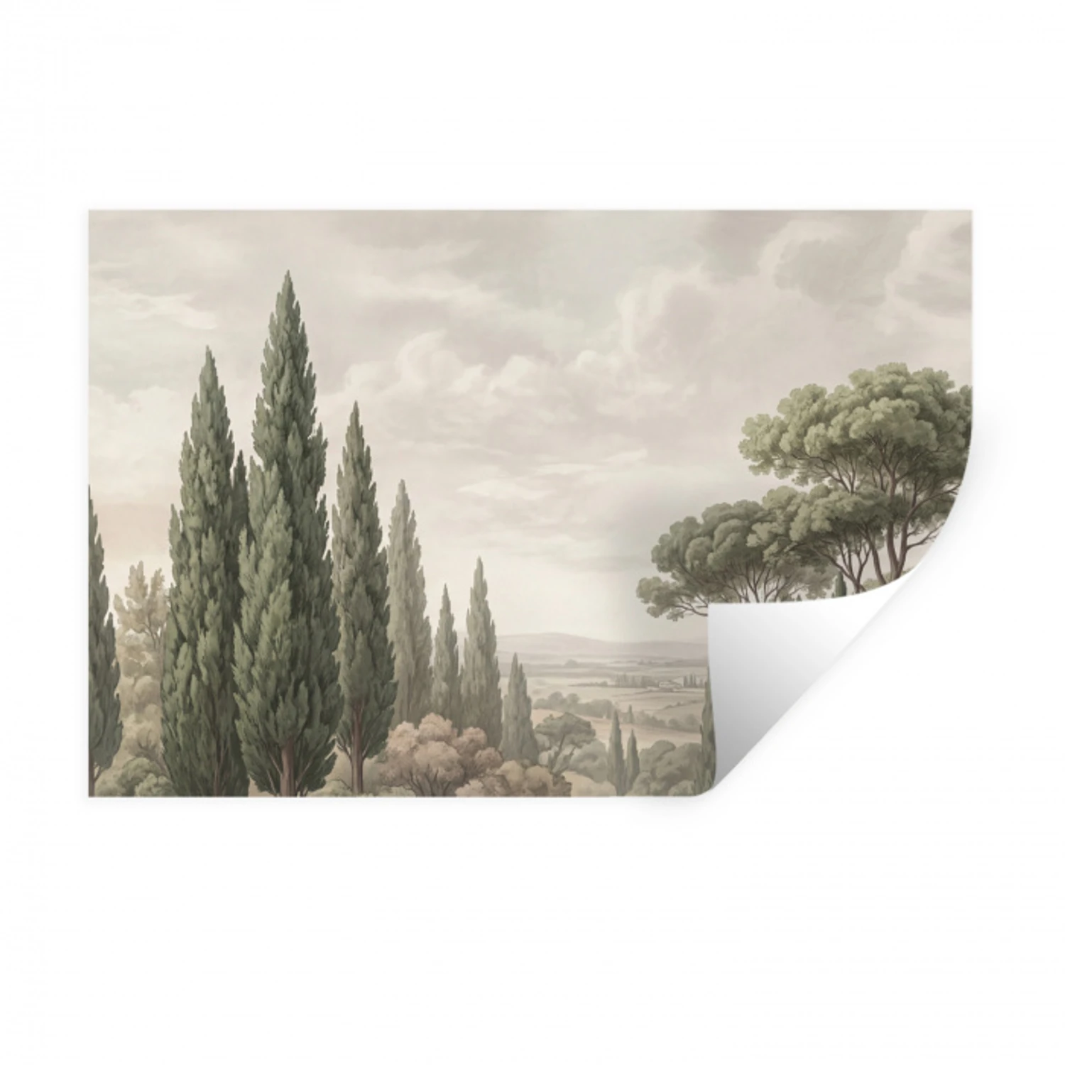 Vallei - Bos - Natuur - Groen Muursticker klein -3d