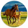 Paarden - Gras - Dieren - Landschap - Natuur Wandcirkel kunststof plaat 5mm dik klein -3d