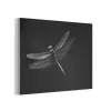 Libelle - Dieren - Zwart - Insect PET vilt klein -3d