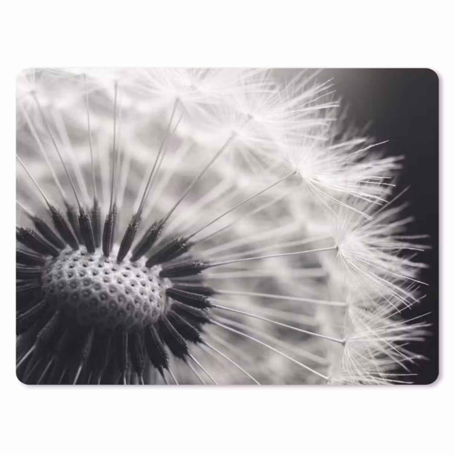 Mauspad - Pusteblume - Schwarz - Weiß