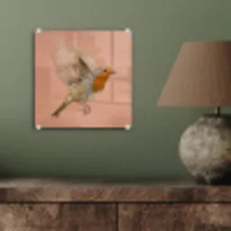 Roodborst - Natuur - Roze plexiglas 5mm klein -sfeer3
