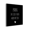 Quotes - Papa ik lijk steeds meer op jou - Stef Bos - Papa - Spreuken aluminium wit klein -3d