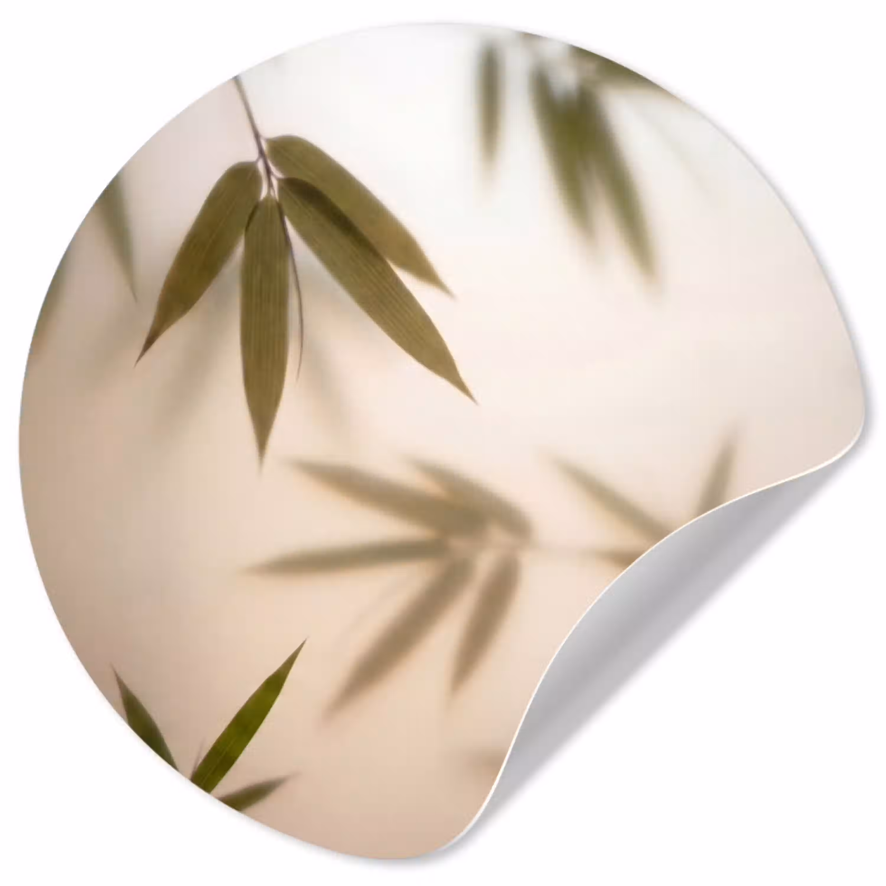 Planten - Bladeren - Natuur - Groen Wandcirkel behangsticker klein -3d