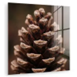 Dennenappel - Bos - Herfst - Bruin - Sfeervol plexiglas 5mm klein -zzzproduct_nieuw