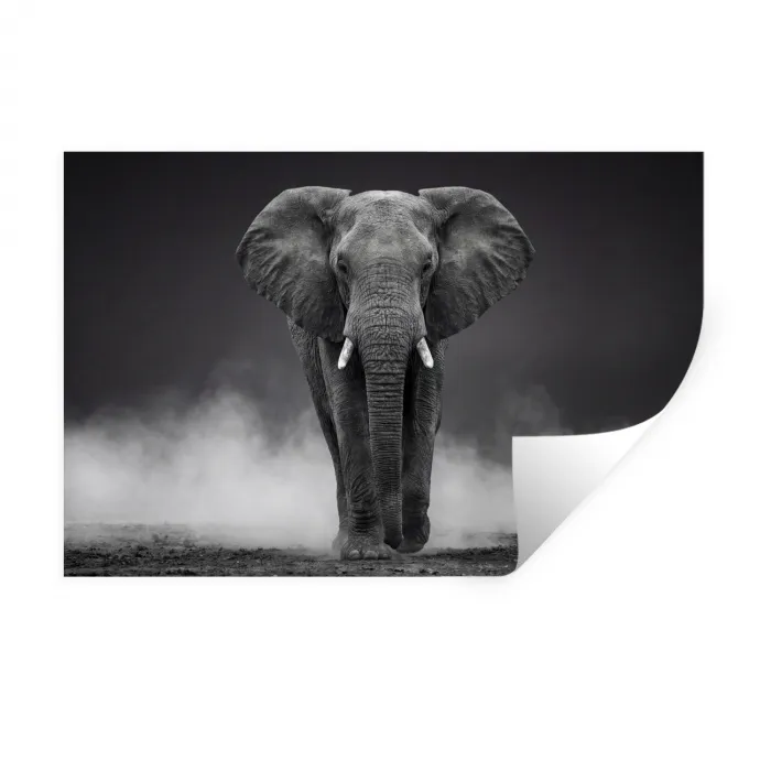 Olifant - Zwart - Wit - Rook Muursticker klein -3d