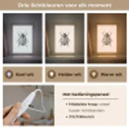 Kever - Insect - Vintage Light Box met kabel (Kinderlampje) klein -USP_lichtkleurNL