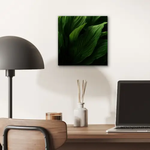 Bladeren - Schaduw - Groen - Textuur aluminium wit klein -sfeer5
