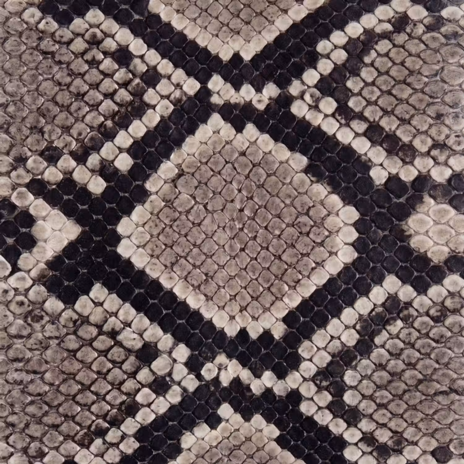 Behang - Slangenleer - Patroon - Beige