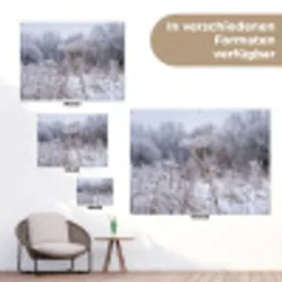 Schermbloem - Rijp - Kristallen - Winter - Delicaat tuinposter los doek klein -Xsfeer9_DE