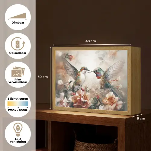 Kolibrie - Vogels - Bloemen - Natuur Light Box met batterij (Wandlamp) middel -USP_websiteoverzichtNL