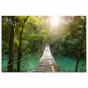 Jungle - Water - Brug - Natuur - Planten poster papier klein -3d