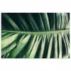 Bladeren - Tropisch - Jungle poster papier klein -3d