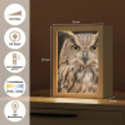 Oehoe - Uil - Portret - Bruin Light Box met kabel (Kinderlampje) klein -USP_DE