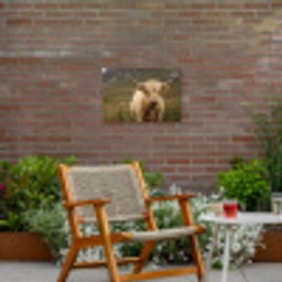 Schotse hooglander - Bergen - Grasveld Tuinposter op houten frame 2 cm dik klein -sfeer3