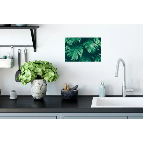 Monstera - Bladeren - Planten - Jungle - Natuur Muursticker klein -keuken