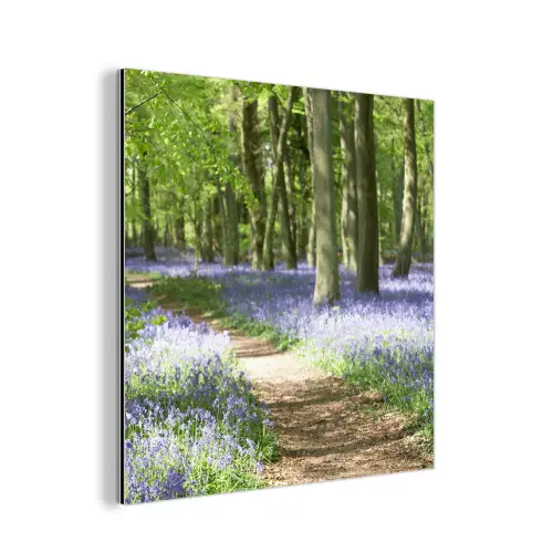 Bos - Pad - Bloemen - Paars - Groen - Natuur aluminium wit klein -3d