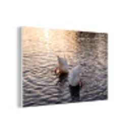 Eenden - Water - Natuur forex 5mm xxl -3d
