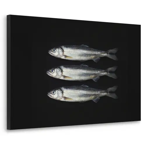 Haring - Vissen - Zwart Textielframe zwart klein -3d