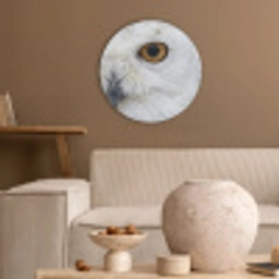 Sneeuwuil - Oog - Wildlife - Wit Akoestische PET Vilt - Rond klein -sfeer1
