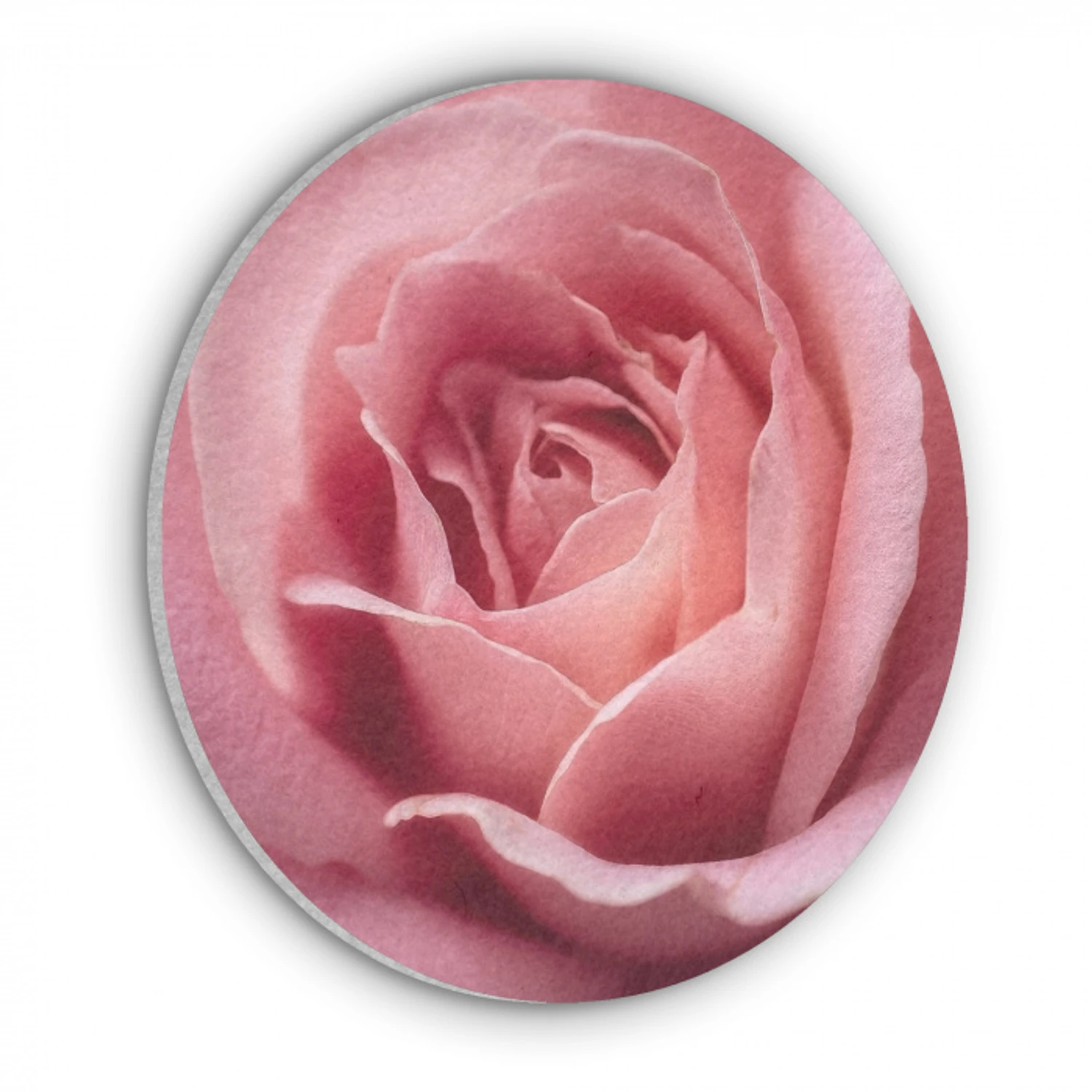 Roze - Roos - Romantisch Akoestische PET Vilt - Rond klein -3d