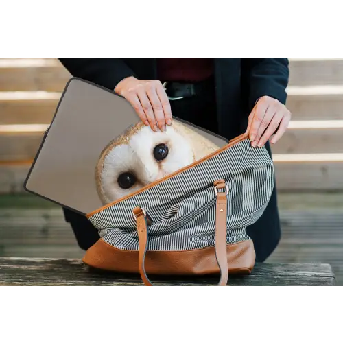 Uil - Bruin - Wit laptophoes neopreen klein -tas
